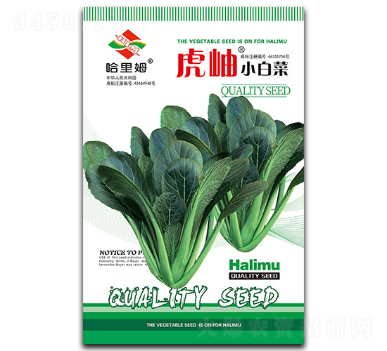 虎岫小白菜-菠菜種子-哈里姆
