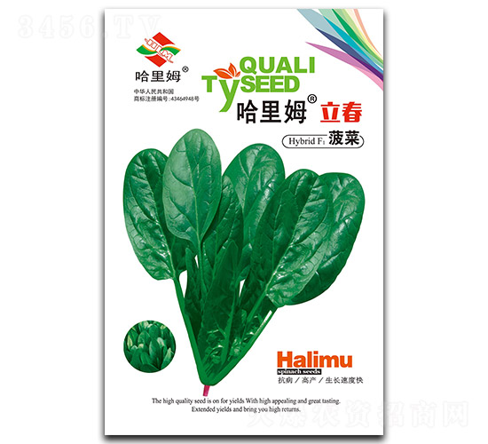 哈里姆立春-菠菜種子-哈里姆