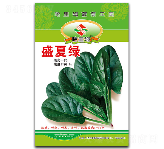 ʢ�ľG-���˷N��-����ķ