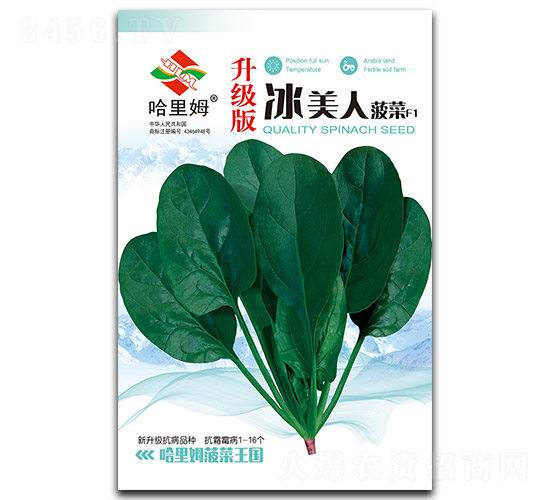 升級版冰美人-菠菜種子-哈里姆