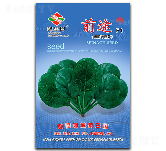 前途-菠菜種子-哈里姆