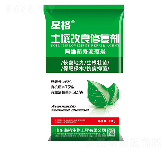 ���������ޏ̈́�-�Ǹ�-��������