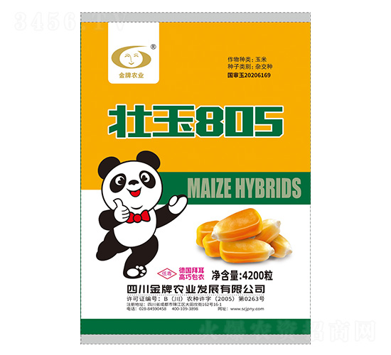 玉米種子-壯玉805-金牌農(nóng)業(yè)