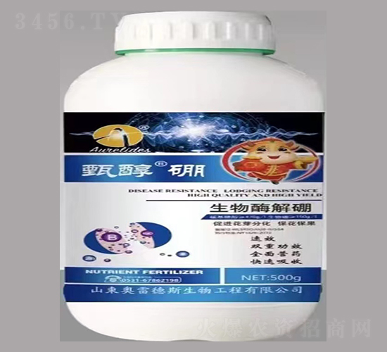 �紼��-�W�׵�˹