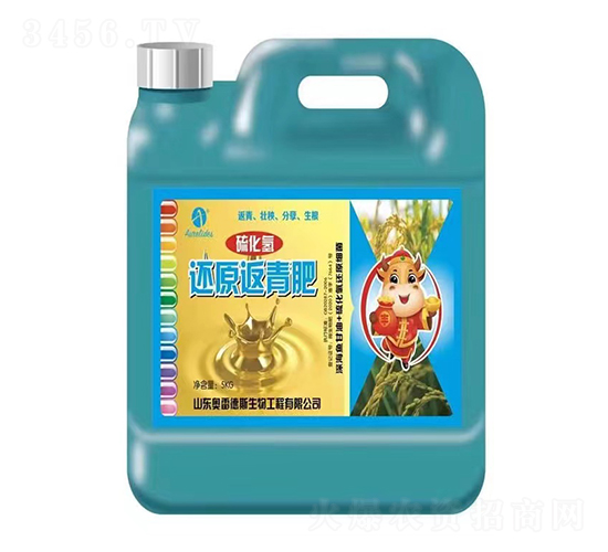 �򻯚�߀ԭ�����-�W�׵�˹