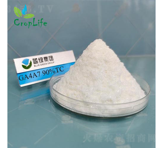 ��ù��A4A7-����˹����