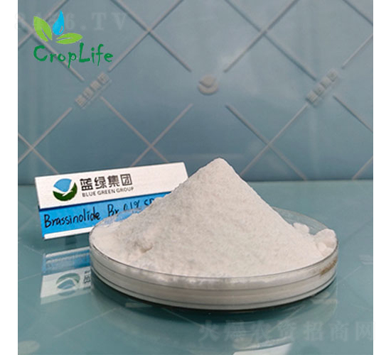 �|̦�؃�(n��i)��-����˹����