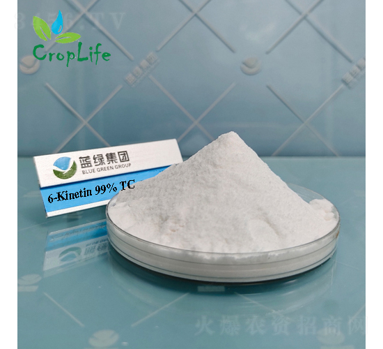 6-����������-����˹����