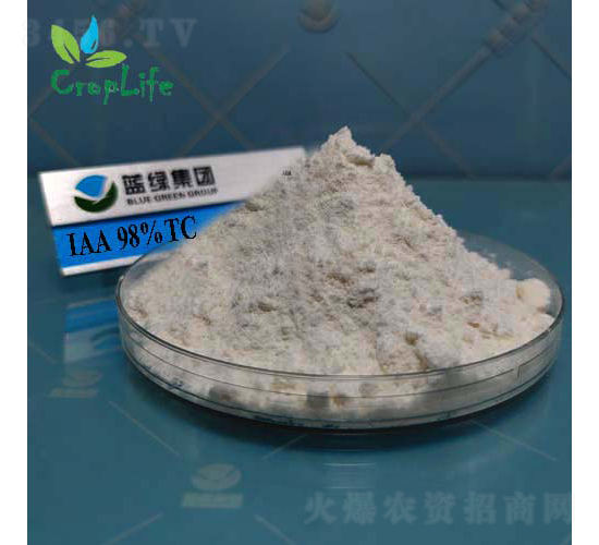 ��������-����˹����