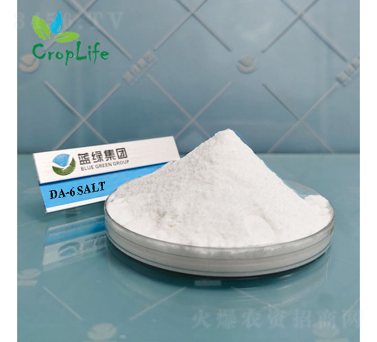 ������Ұ����Ҵ�����DA-6��-����˹����