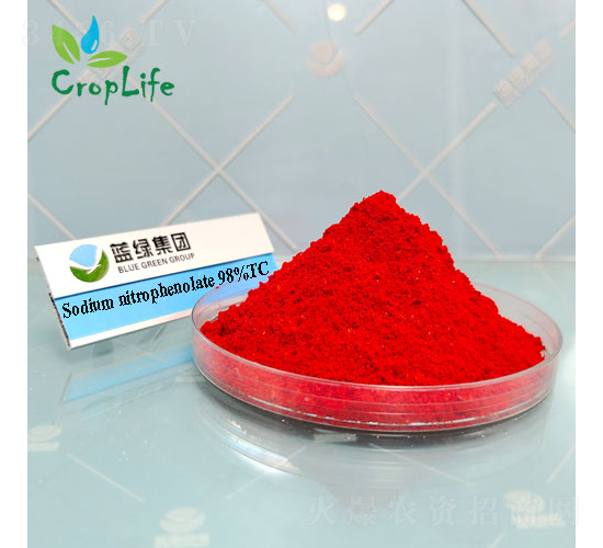 �������c-����˹����