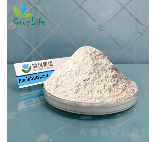 ��Ч��-����˹����