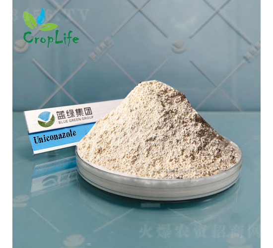 ϩЧ��-��(��i)��˹����