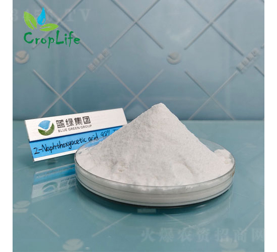 ��-��������-��(��i)��˹����