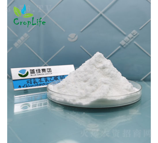 ���ȱ�������4-CPA-����˹����