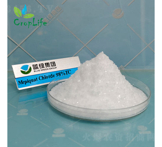 �s��(ji��)���������ˣ�-����˹����