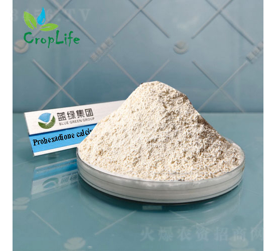 �{(di��o)�h(hu��n)���}-����˹����