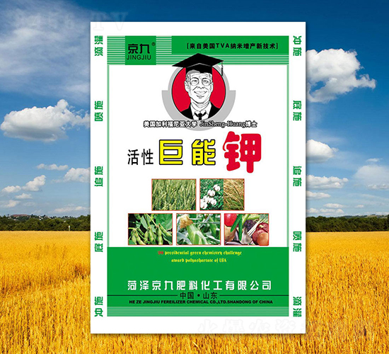 ���Ծ����-����