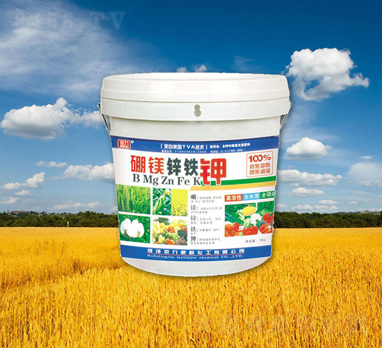 硼鎂鋅鐵鉀-京九