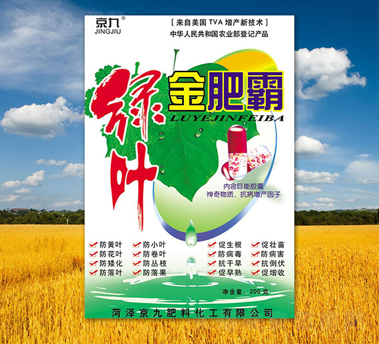 綠葉金肥霸-京九