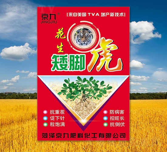 ���_��-����