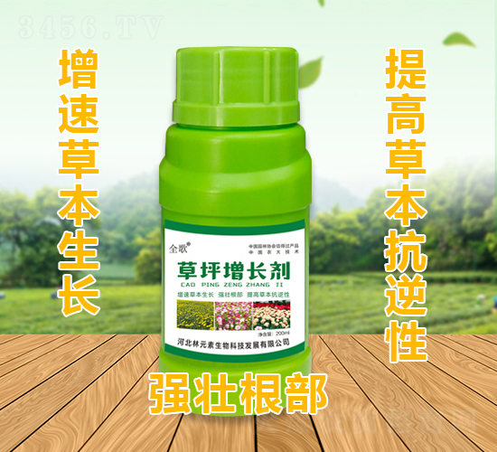 ȫ���ƺ���L��-��Ԫ��