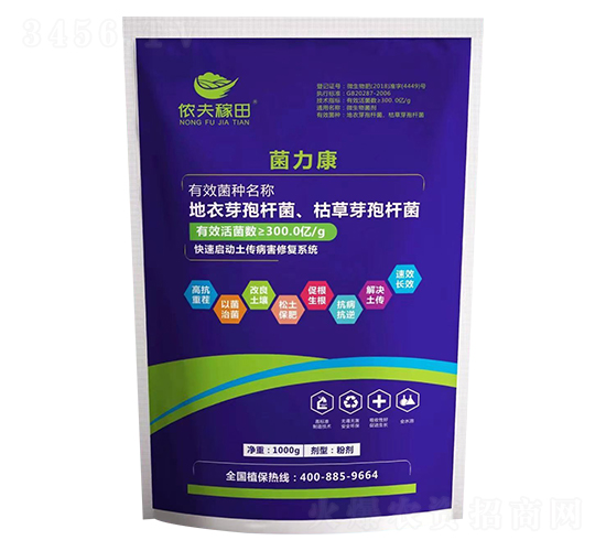 ������-�z�����-���z��