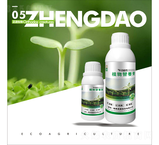 ֲ��I�B(y��ng)��-��������