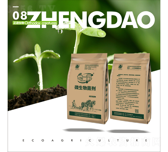 ��һ��΢�������-��������