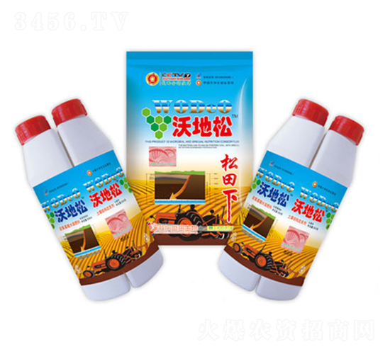 �ֵ���-ʢ������