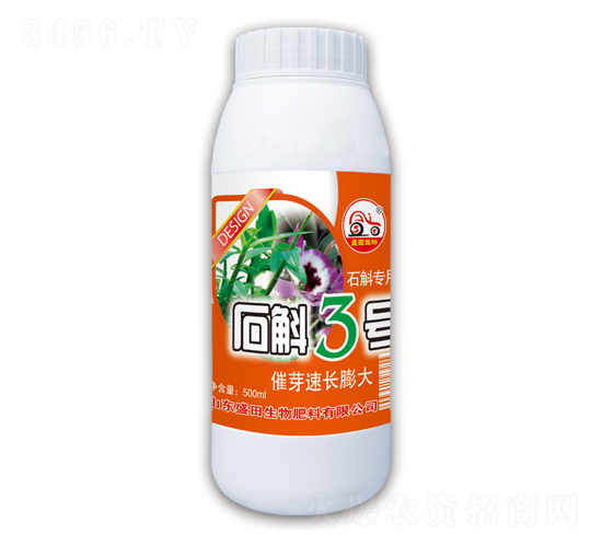 ʯ��3̖-ʢ������