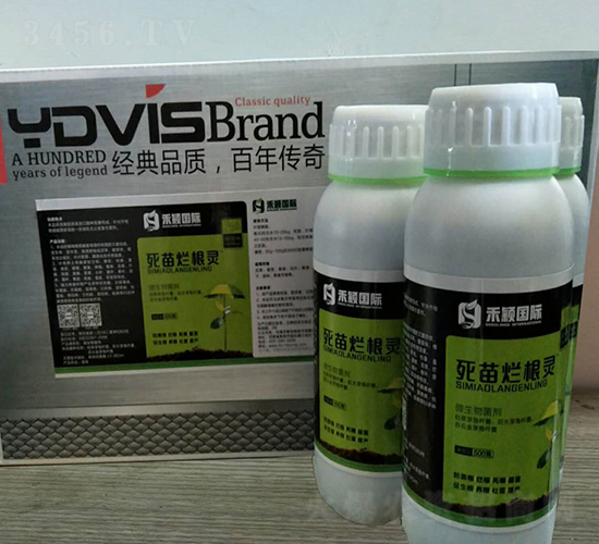 ���砀���`-�̷f����