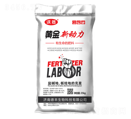 黃金新動力-德豐