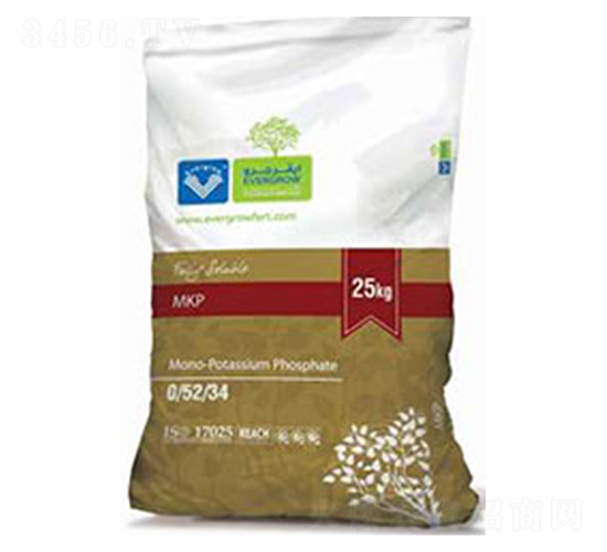 ������-����