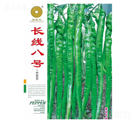 �L����̖-�����N��-�A��N�I(y��)