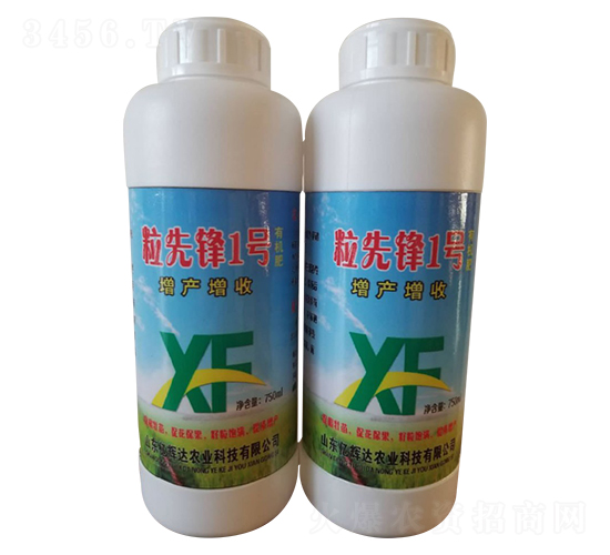 �����h1̖(h��o)-�|�x�_(d��)