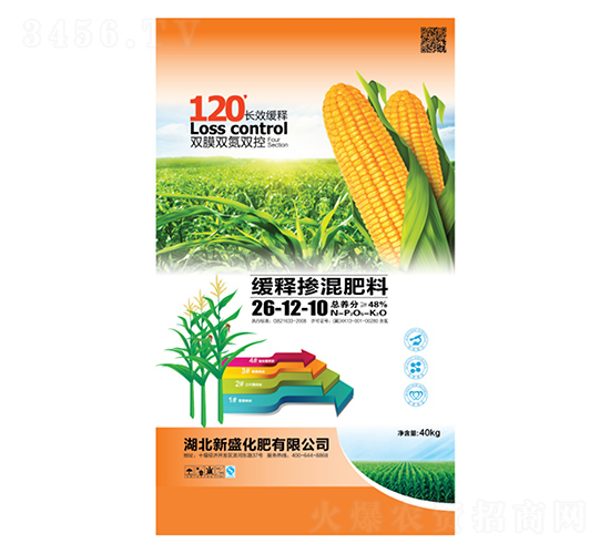 ��ጓ������26-12-10-��ʢ����