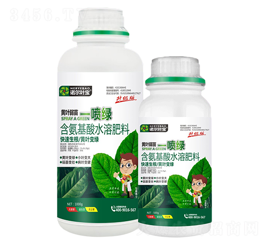 �S�~����һ���G-�Z���~��-�Z���S