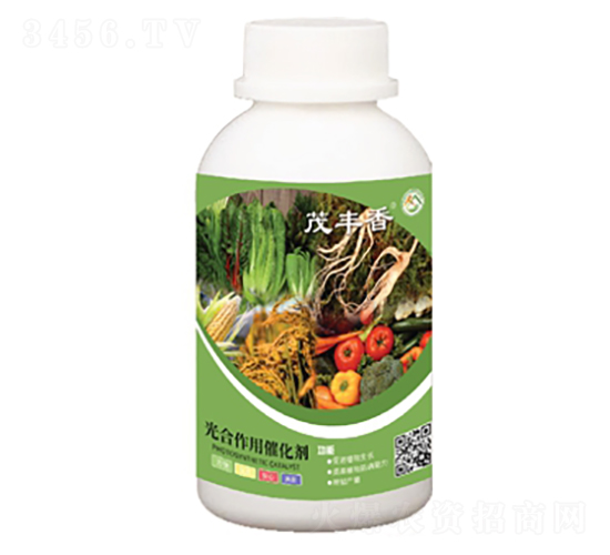 ������ô߻���-ï�S��