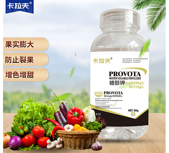 �Ǵ��-������