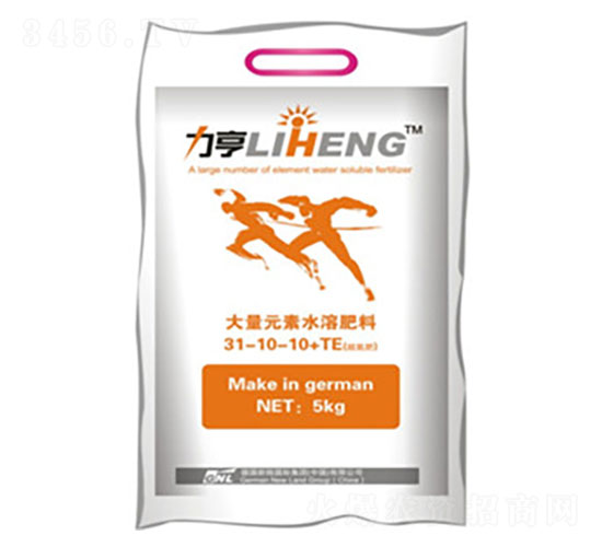 ���M(j��n)�o�~���L������31-10-10+TE-�»����