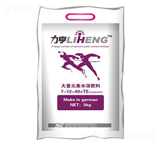 �}�V���7-12-40+TE����ɫ�ٹ��죩-�»����