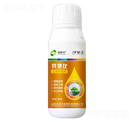 �������ф�-������-�̶��S