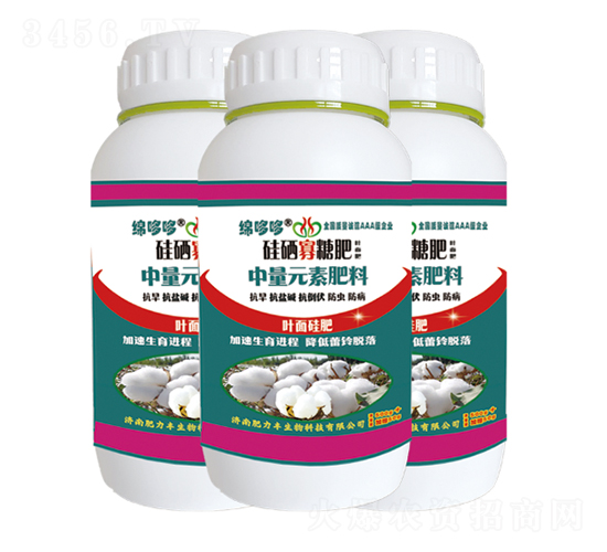 �������Ƿʣ��~���ʣ�-�d�߶�-�����S