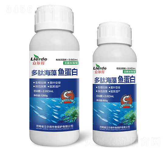 ���ĺ����~����-������