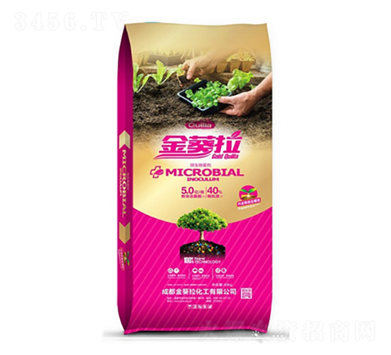 ΢�������-�����