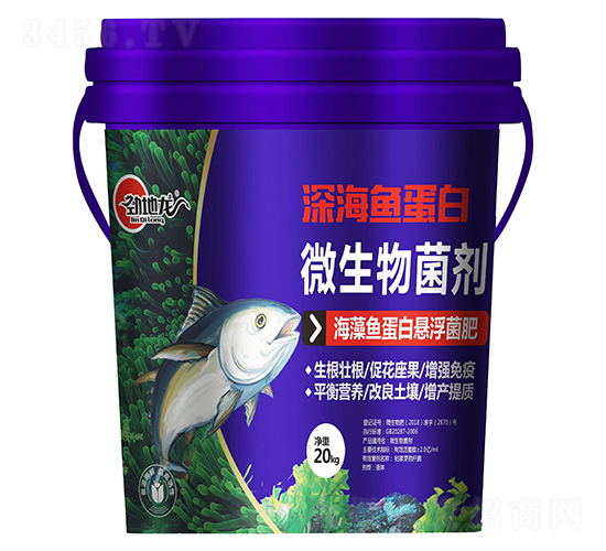 �����~���בҸ�����-�ŵ���