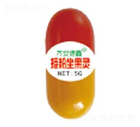 5g�ڷ������`-��������