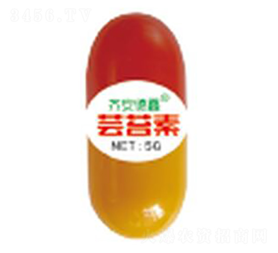 �|̦��-��������