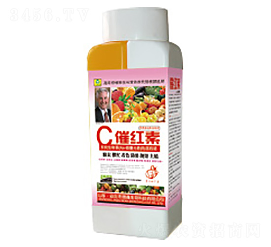 �߼t���~���-��������